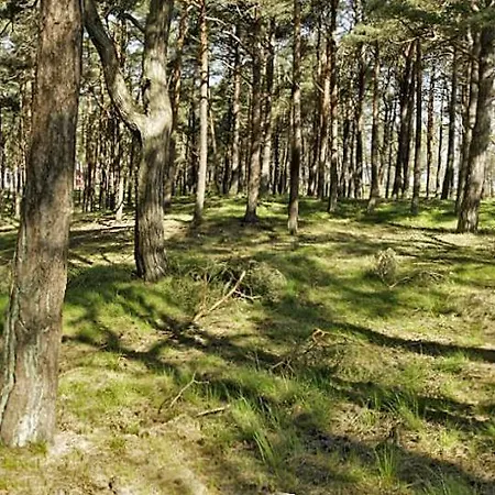 254 Strandpark * Baabe